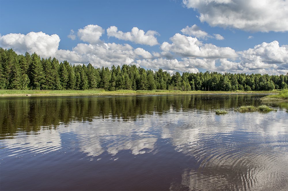 Photograph by Марина Никулина