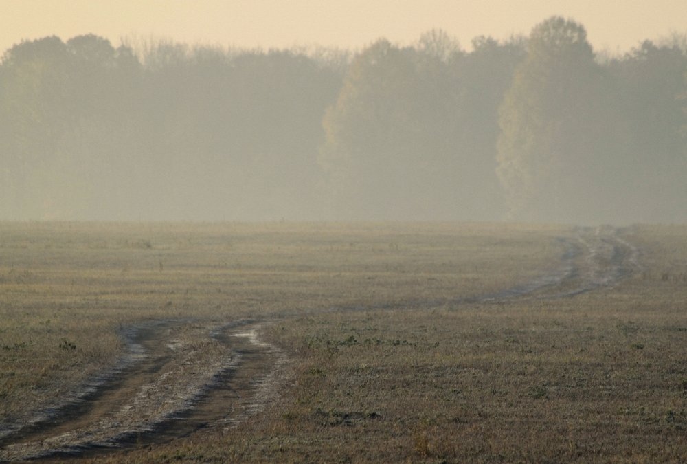 Photograph by Ірина Шандрук