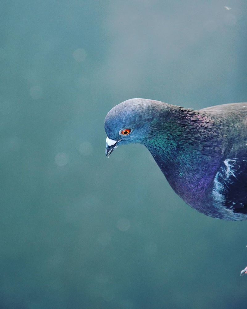 Photograph by Александр Усенко