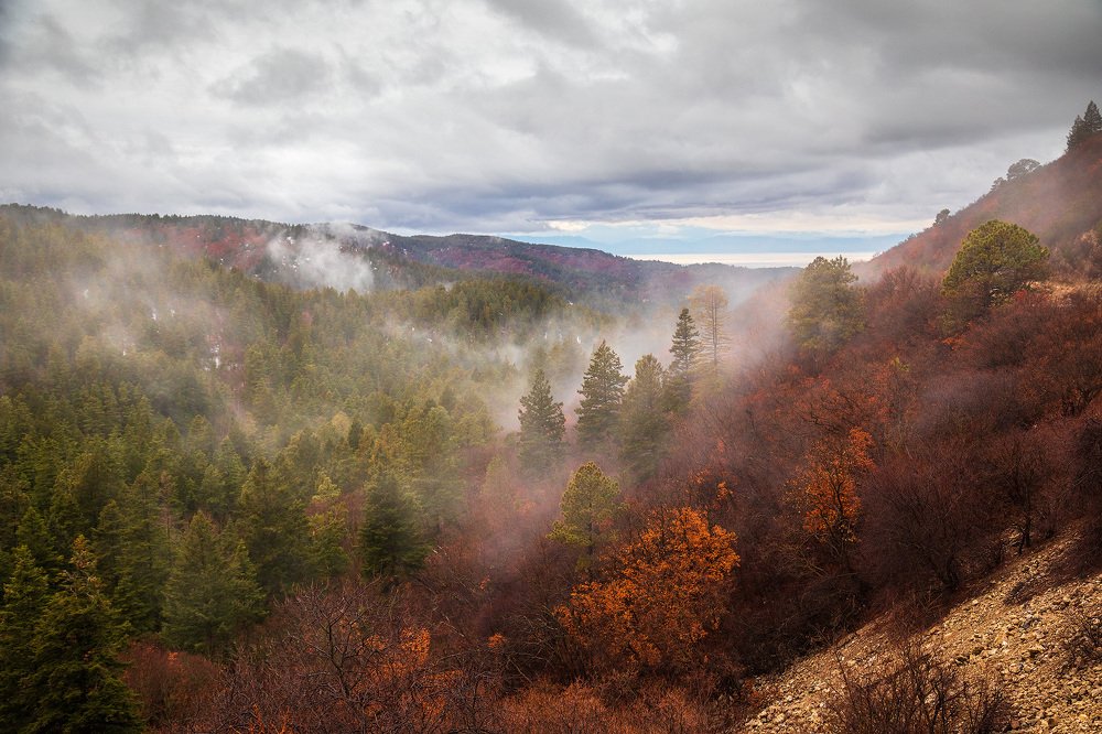 Photograph by Lana Anferow