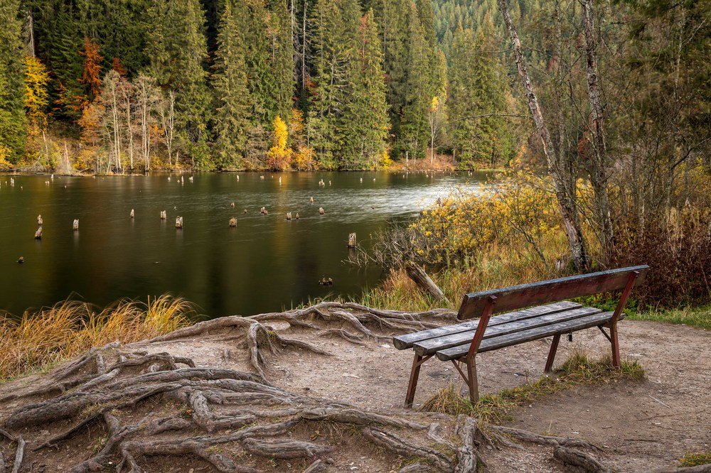 The loneliness of autumn