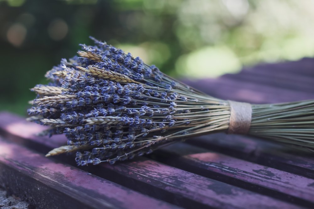 Photograph by Полина Нечаева