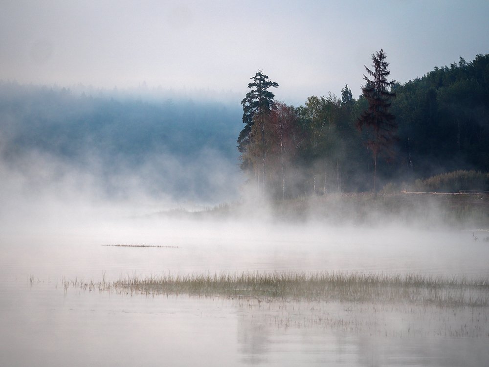 Photograph by Марина Брыдня