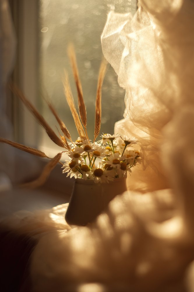 Photograph by Гарьева Леся