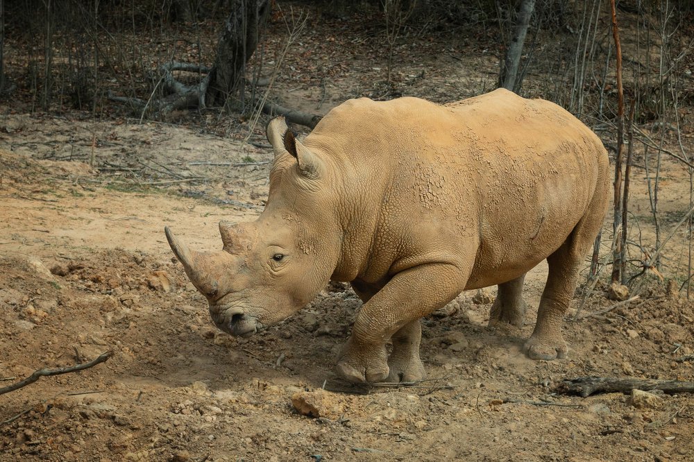 Photograph by Ирина Кононова