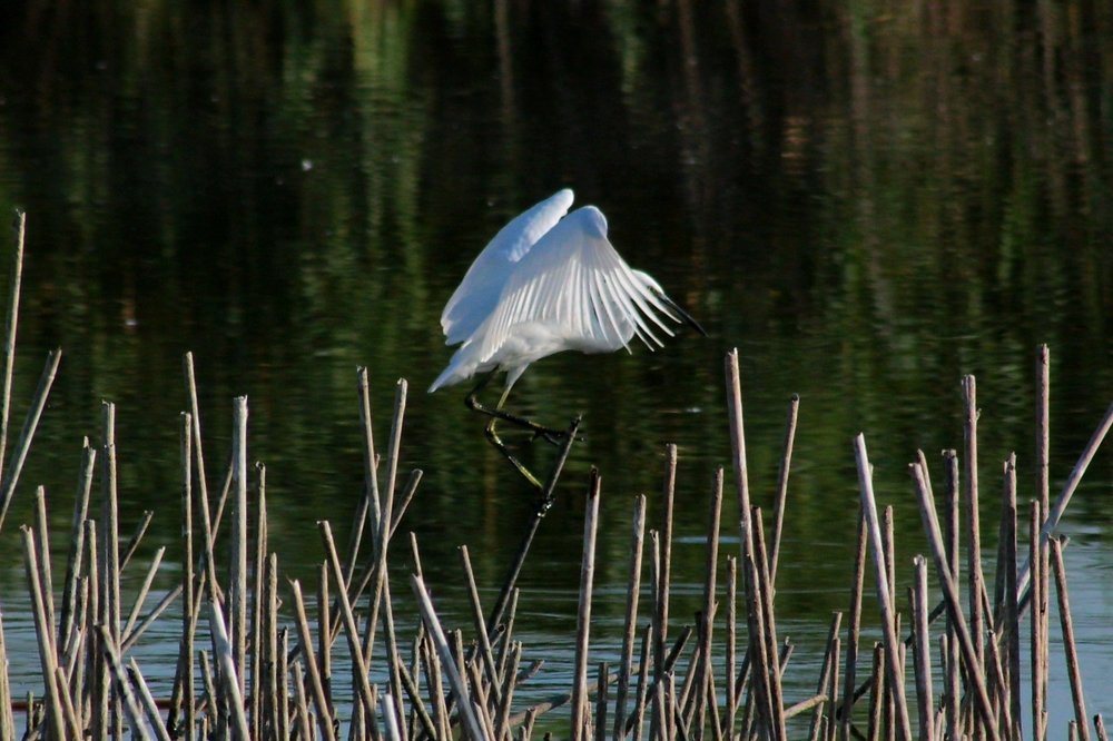 Photograph by Berk Karacin