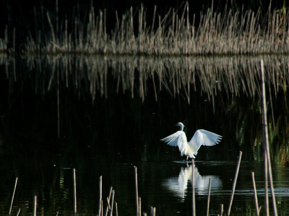 Photograph by Berk Karacin