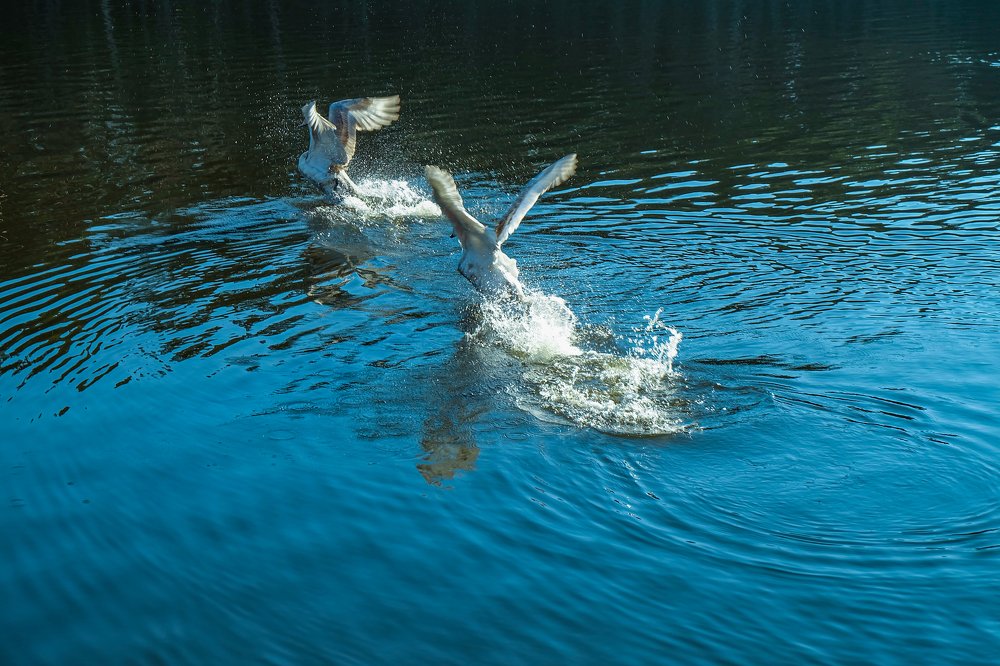 Photograph by Ekaterina Kolesnikova