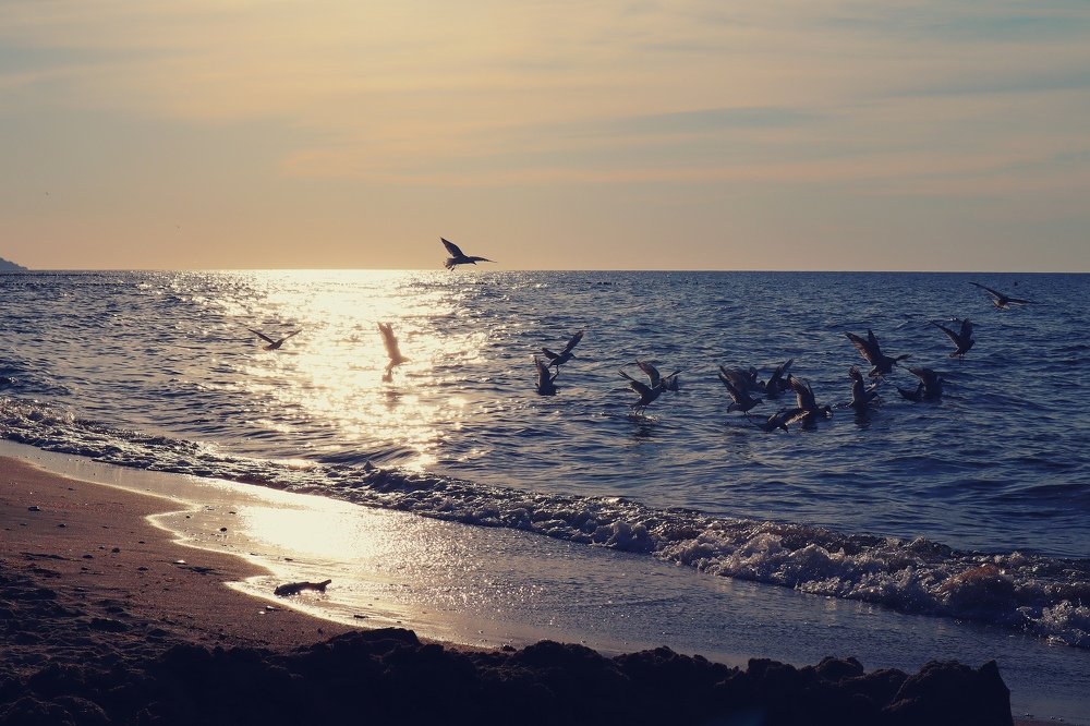 Photograph by Ekaterina Kolesnikova