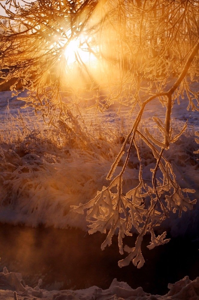 Photograph by Ирина Иванова