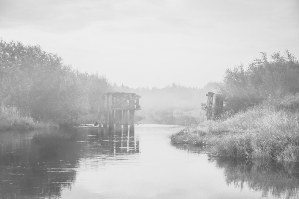 Photograph by Светлана Перминова