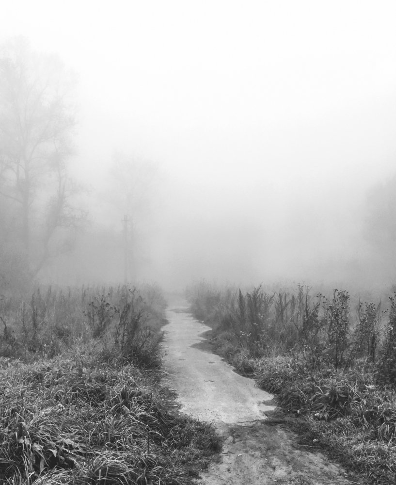 Photograph by Светлана Перминова