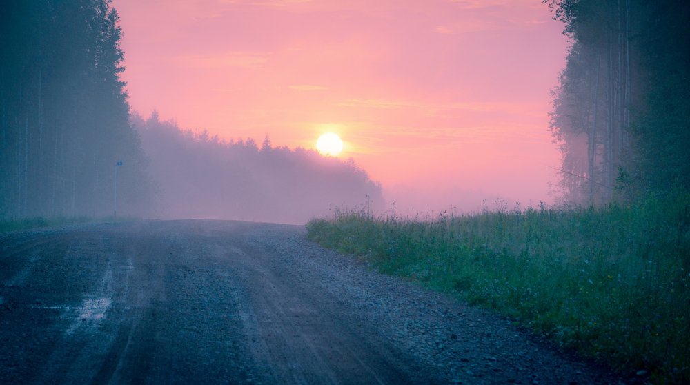 Photograph by Светлана Перминова