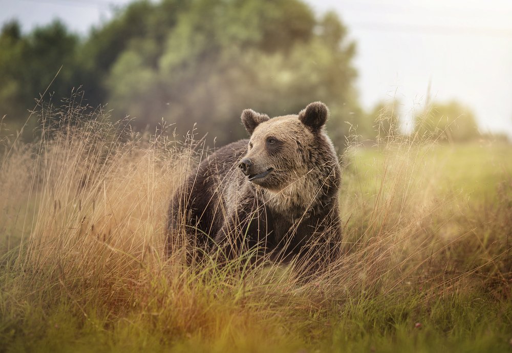 Photograph by Anna Yarkova