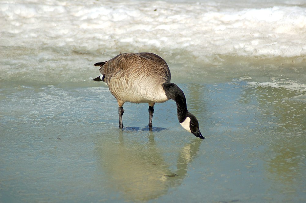 Photograph by Liliana Grup