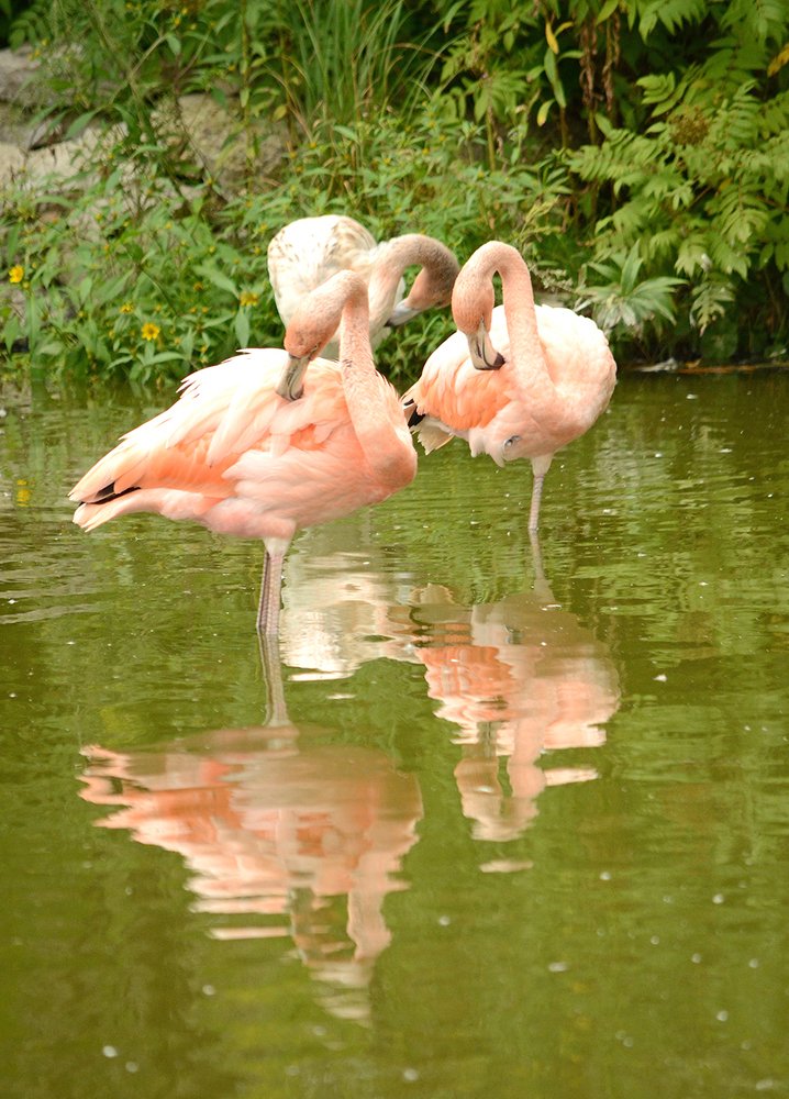 Photograph by Liliana Grup