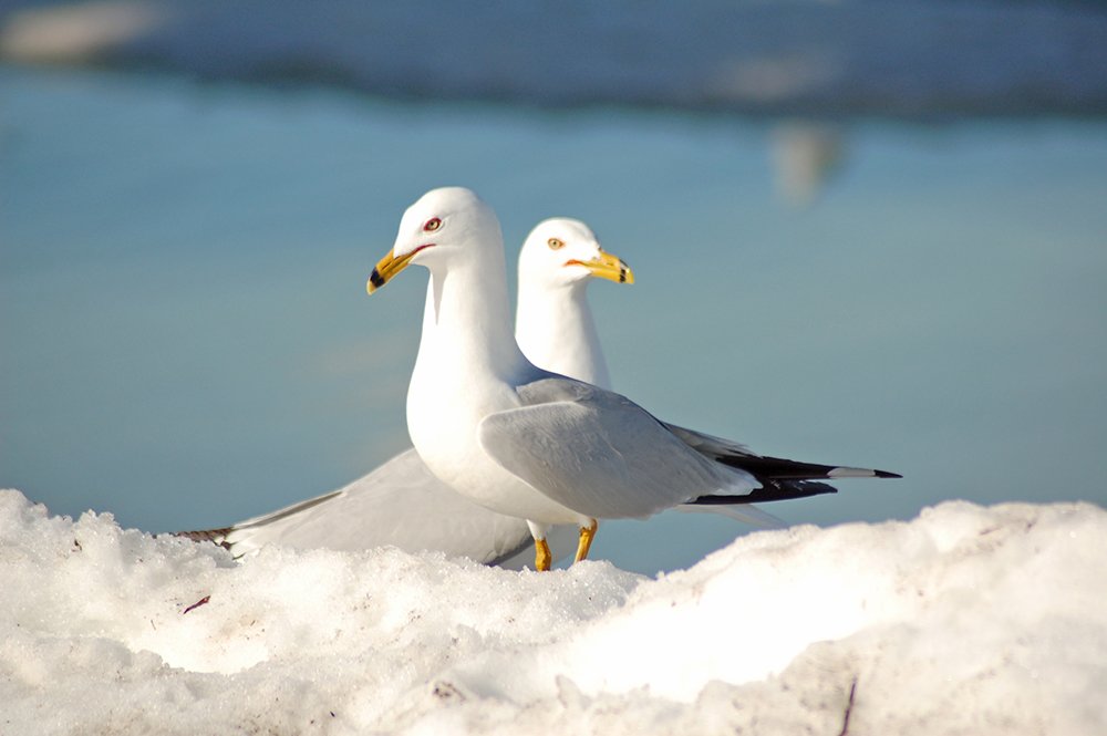 Photograph by Liliana Grup