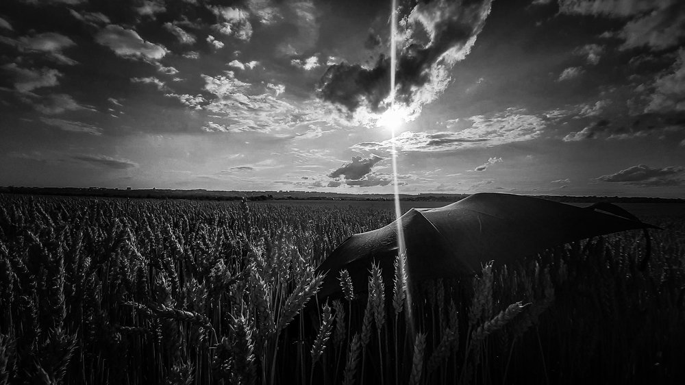 Photograph by Дмитрий Валивахин