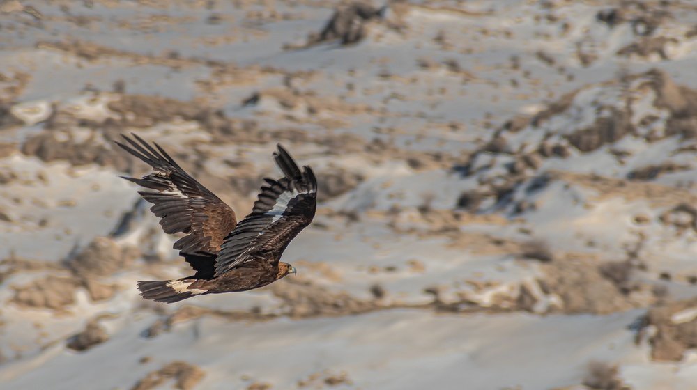 Photograph by Adl Abdolahi