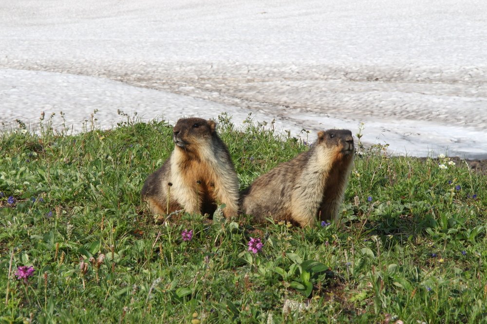 Photograph by Юлия Королева