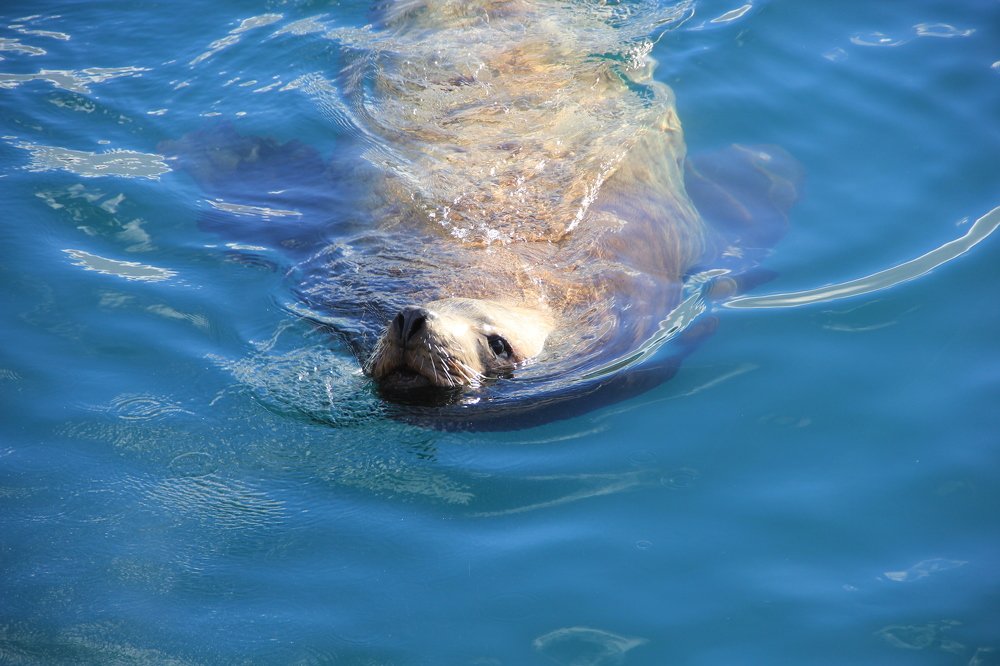 Photograph by Юлия Королева