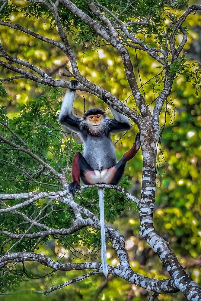 Photograph by ANH VU NGUYEN