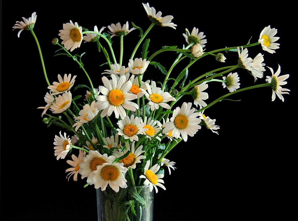 Photograph by Александр