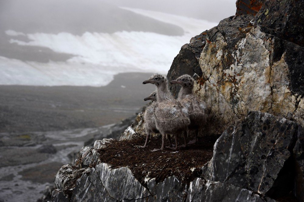 Photograph by Алексей Логинов