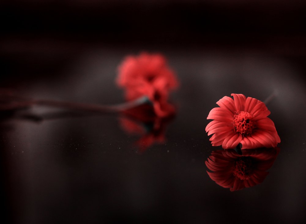 Photograph by Rijas Galleria