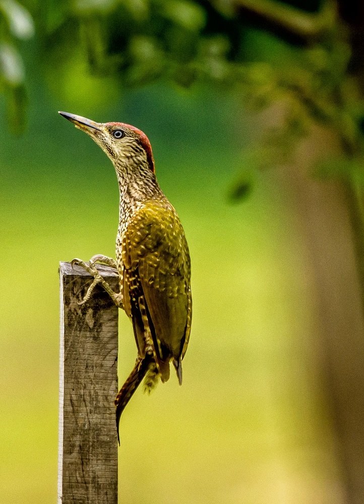 Photograph by zause01