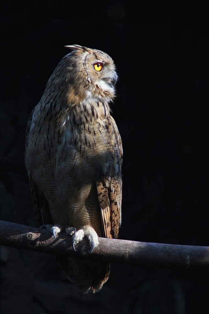 Photograph by Инесса Юровских