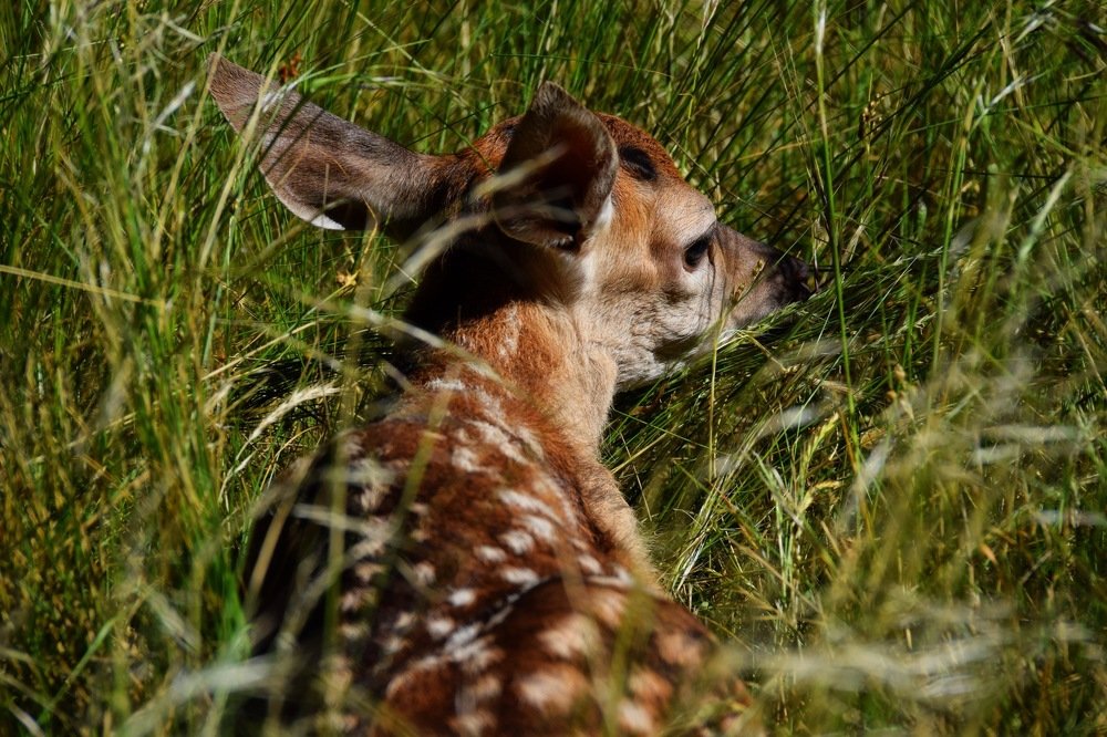 Photograph by Ximena Yaniero