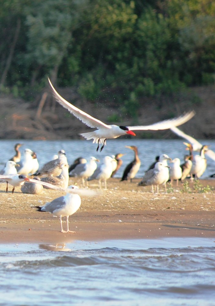 Photograph by Александр Бугаенко