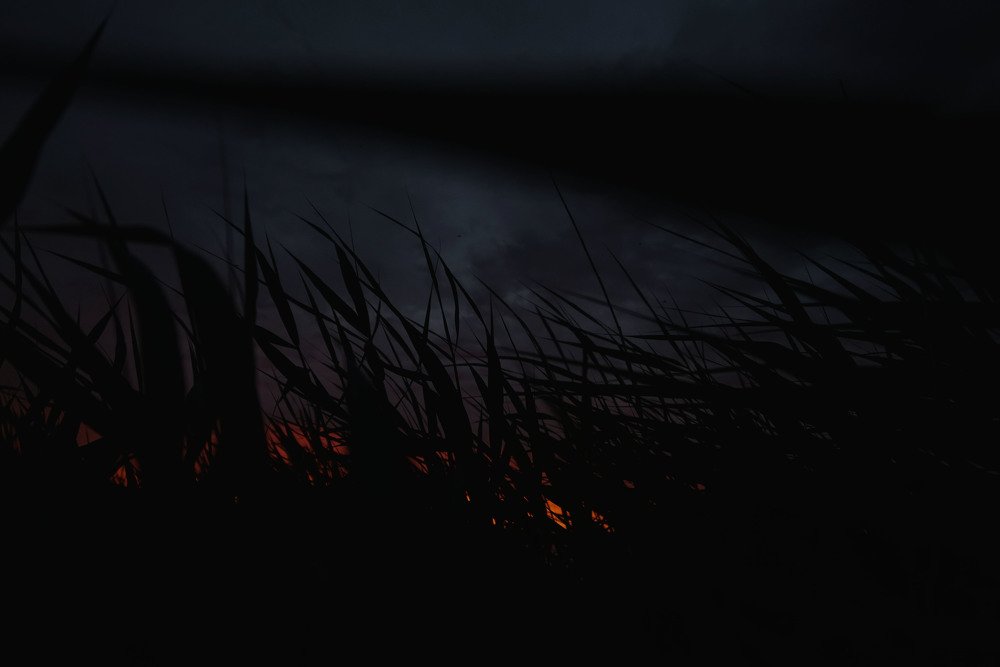 Photograph by Денис