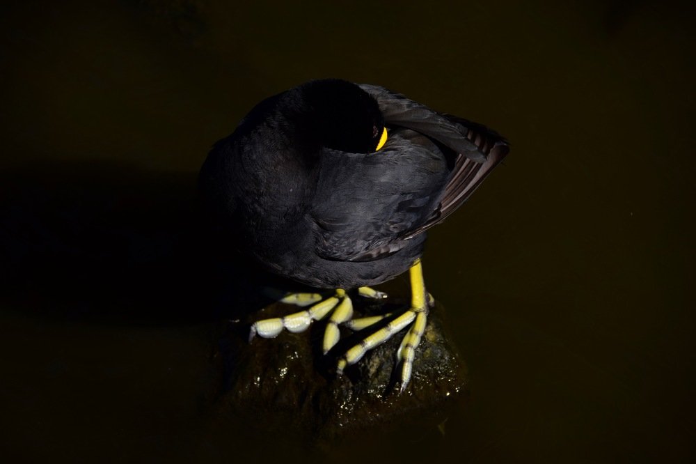 Photograph by Ximena Yaniero