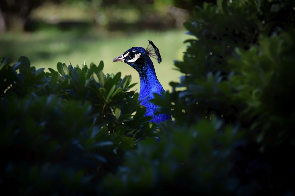 Photograph by Ximena Yaniero