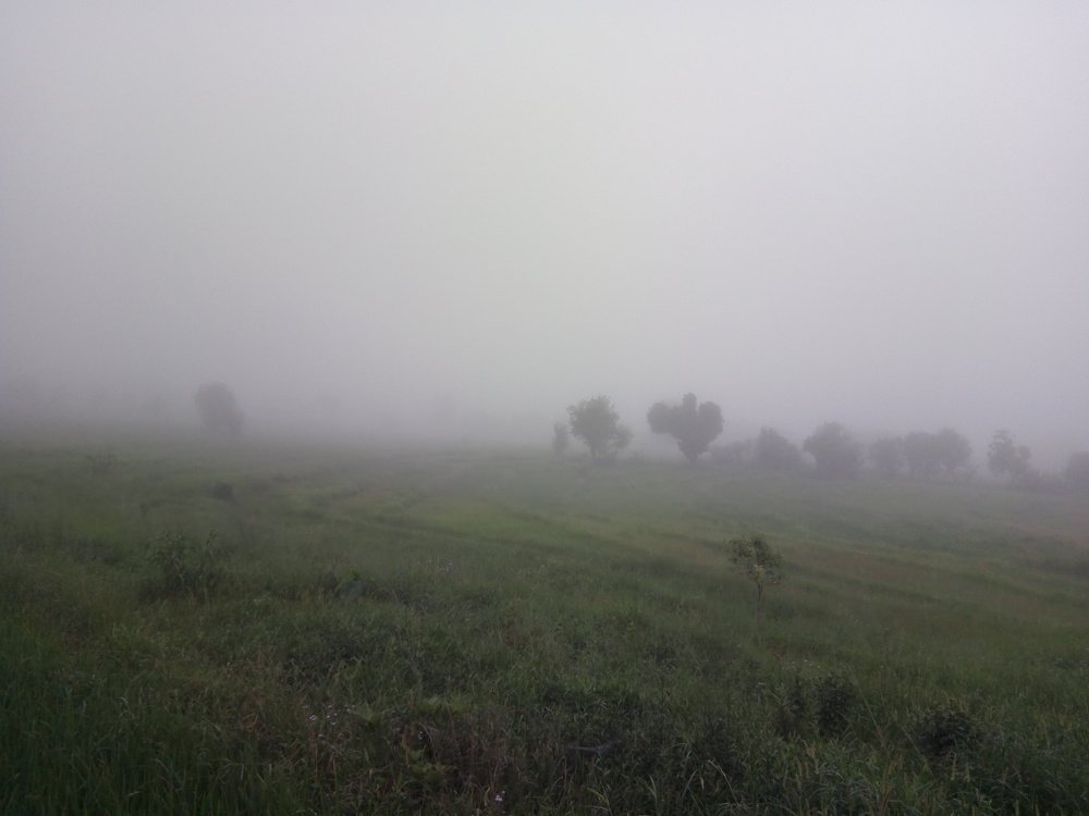 Photograph by Ravinder Rana