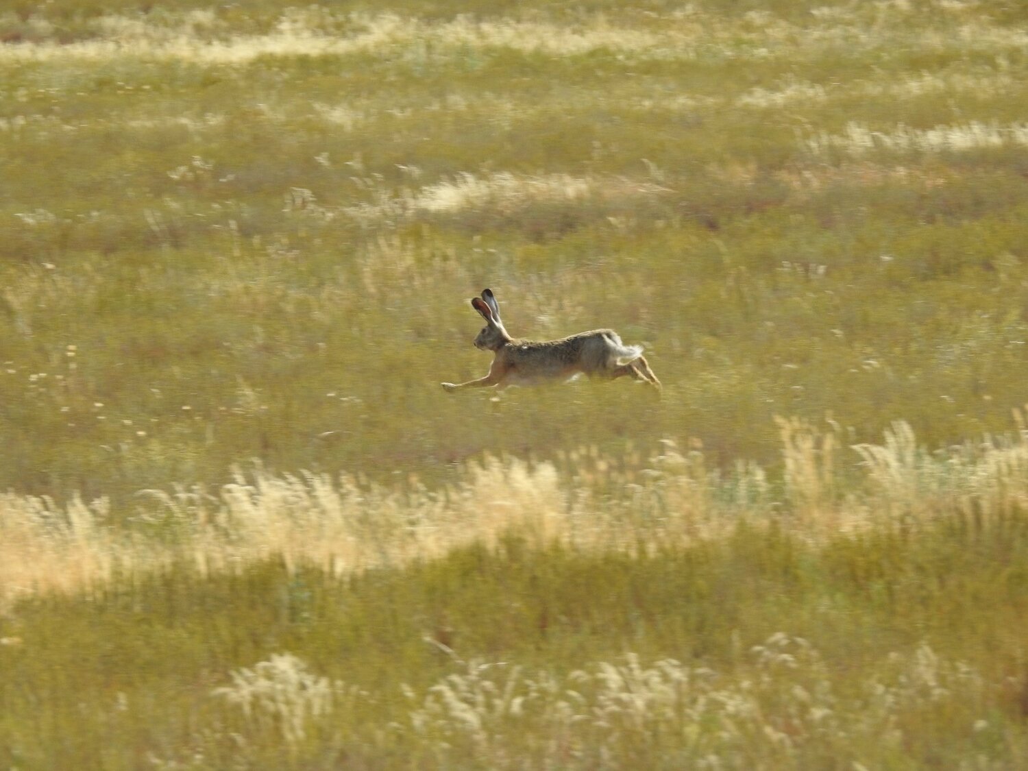 Photo #4845170