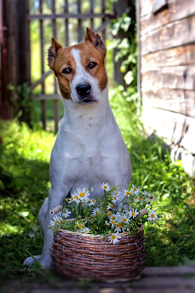 Photograph by Надежда Тарасенко