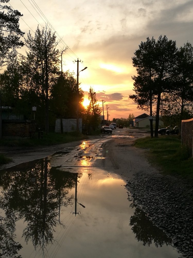 Photo #4845186