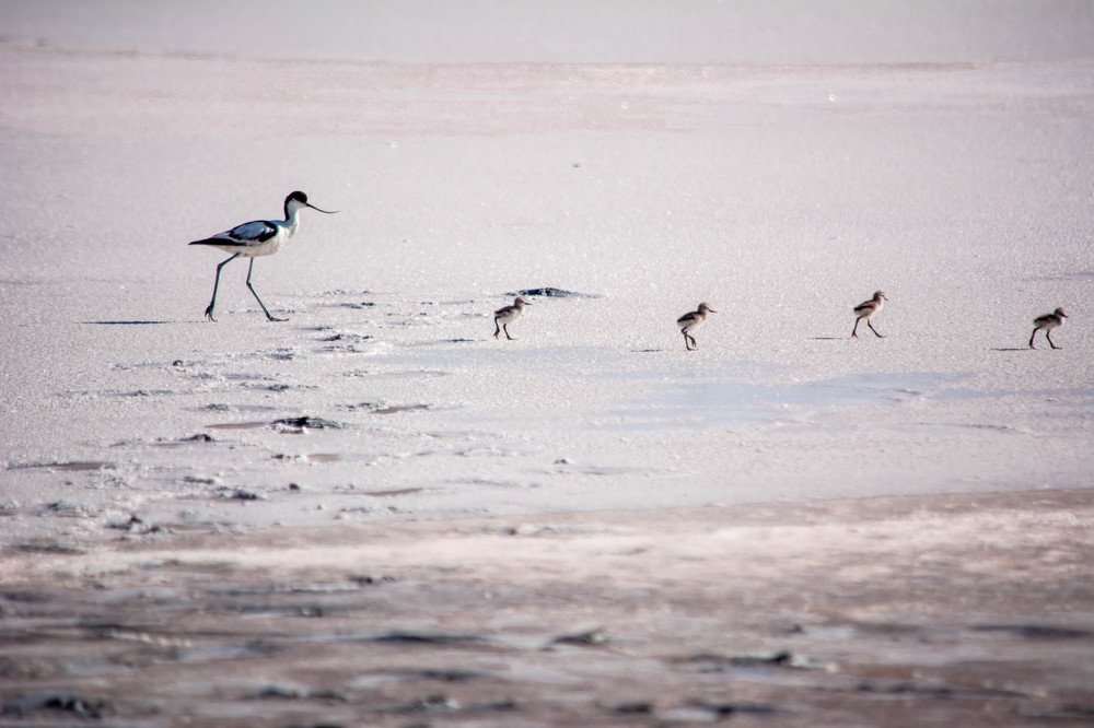 Photograph by Владислав Гушул