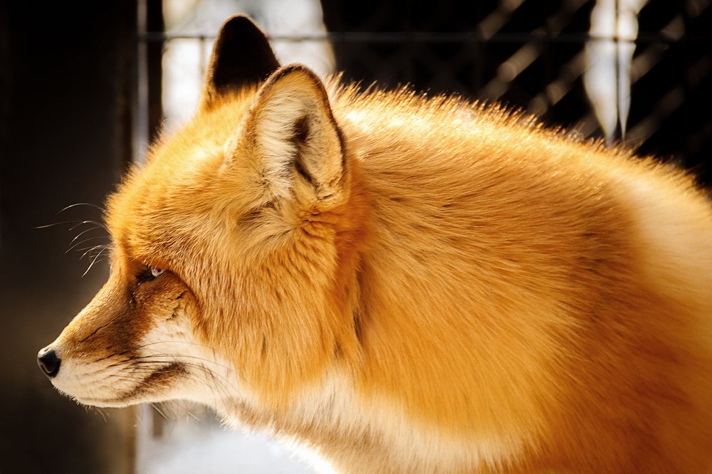 Photograph by Valentin Okulov