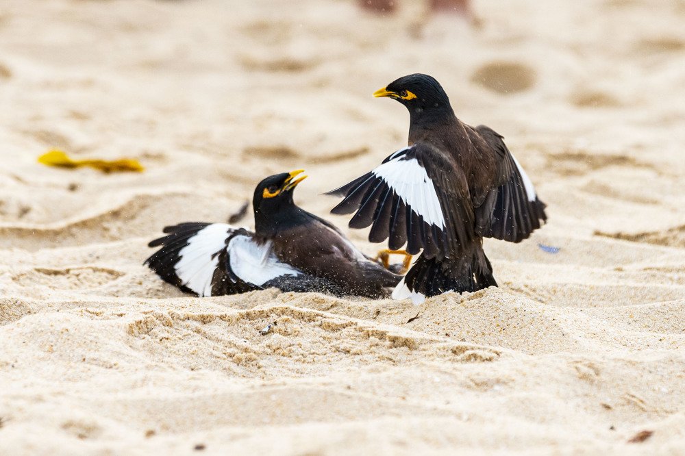 Photograph by ИРЕНА Федорова