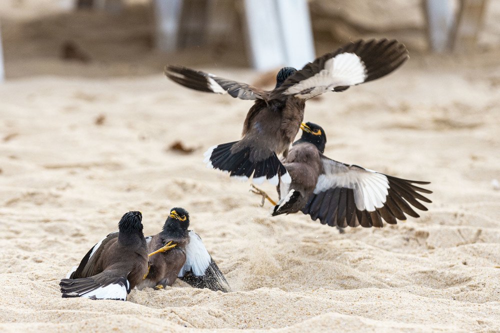 Photograph by ИРЕНА Федорова