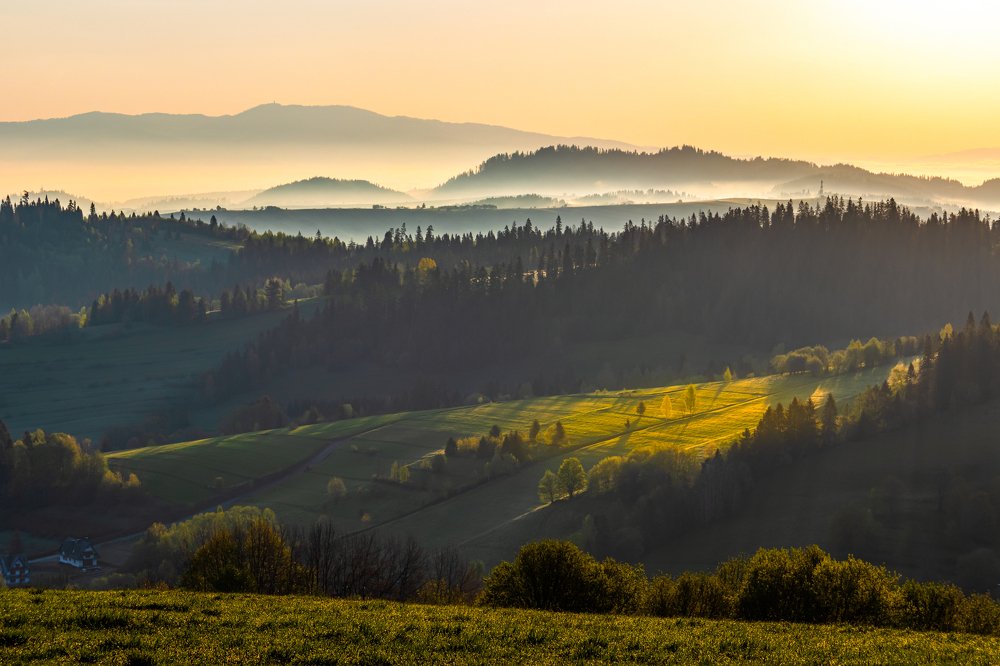 Photograph by Piotr Mikuli