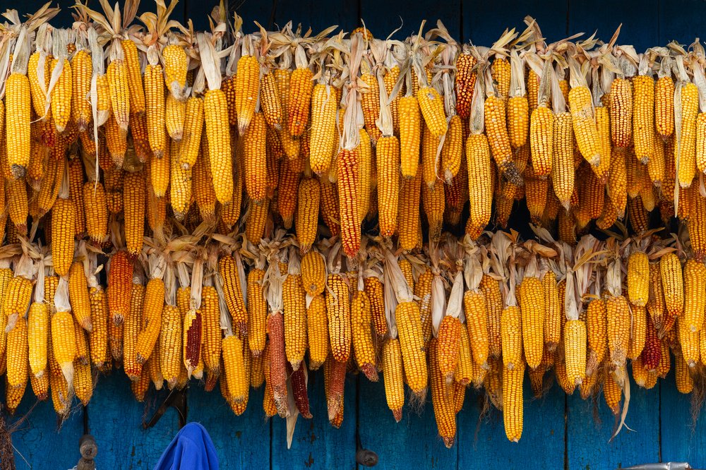 Photograph by Юрий Заставный