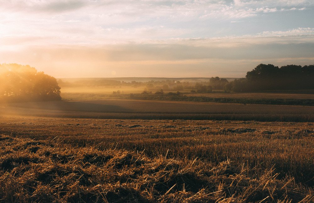 Photograph by логинов денис александрович