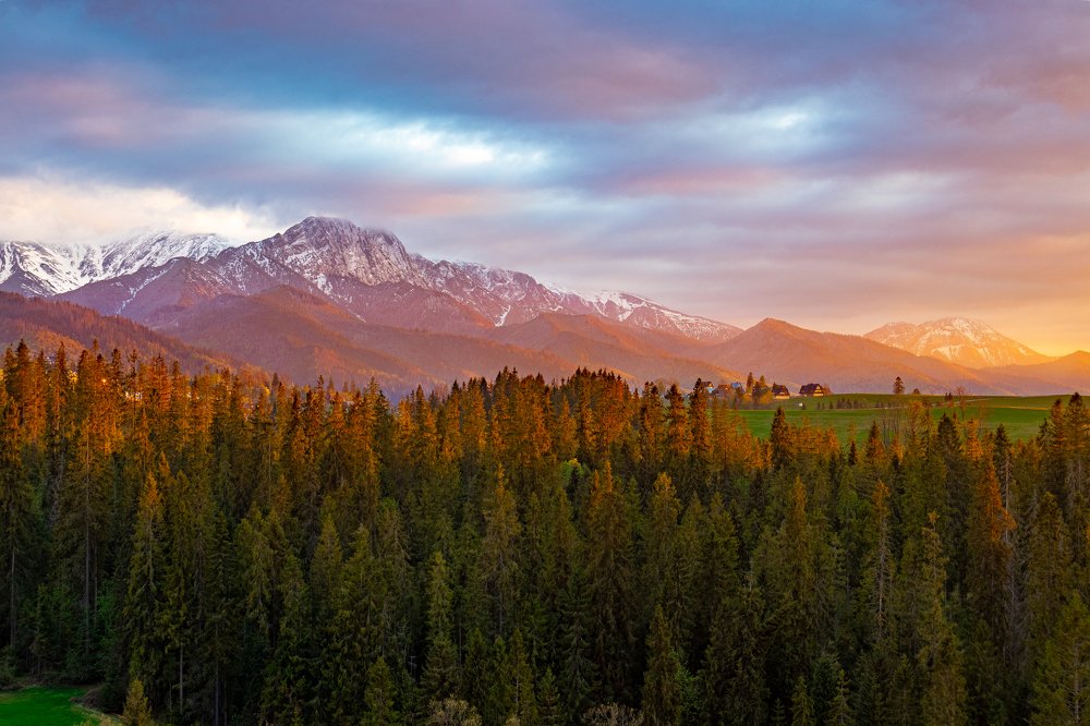 Photograph by Piotr Mikuli