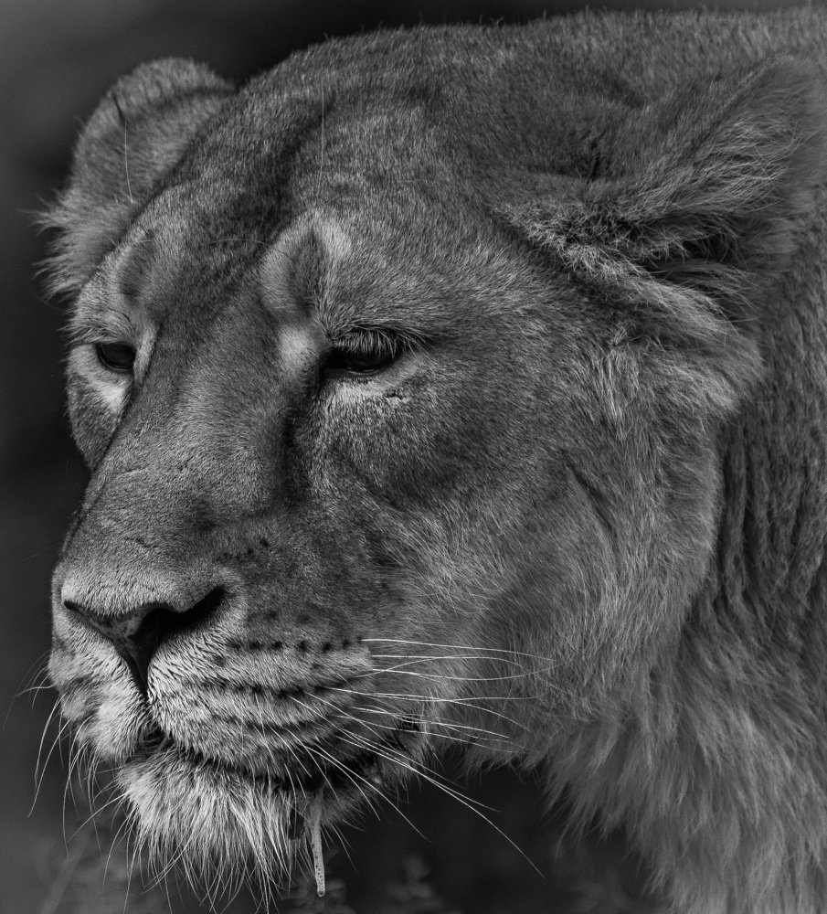 Photograph by Сергей Басов