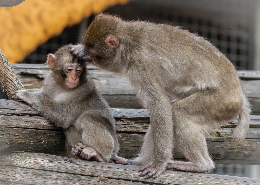 Photograph by Сергей Басов